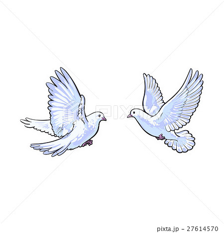 Two Free Flying White Doves Isolated Sketch Styleのイラスト素材