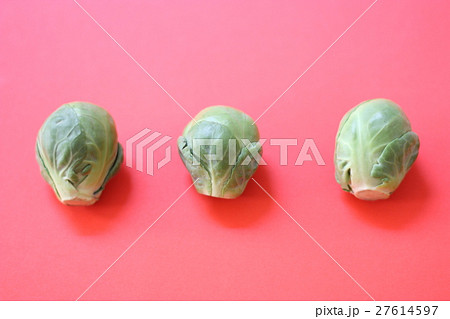 芽キャベツ 芽キャベツ 27614597