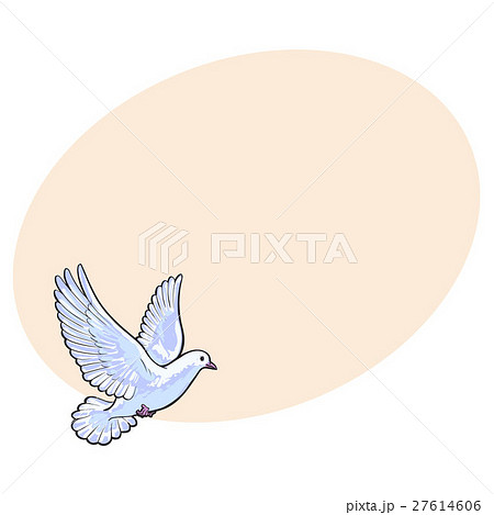 Free flying white dove, isolated sketch style Free flying white dove, isolated sketch style 27614606