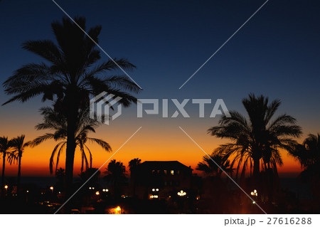 Night view in the old city. Jaffa, Israel. 27616288