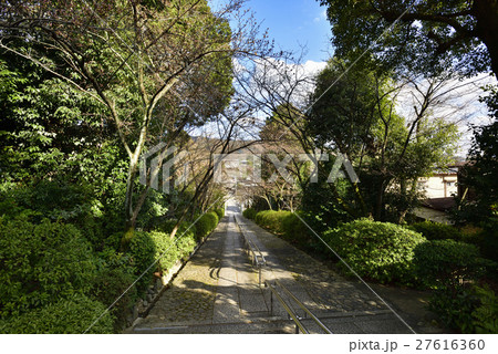 宗忠神社　参道 27616360