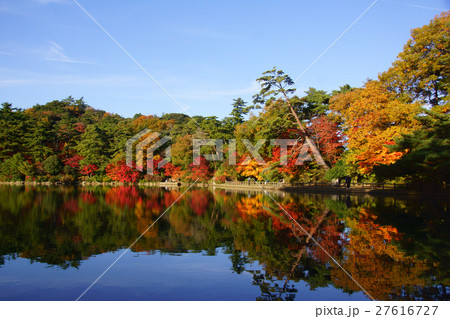 もみじ もみじ 27616727