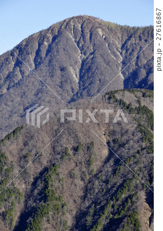 晩秋の蛭ヶ岳 27616867