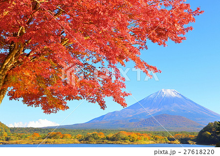 秋 富士山と紅葉 自然風景 の写真素材 2761
