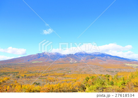 八ヶ岳の紅葉 27618534