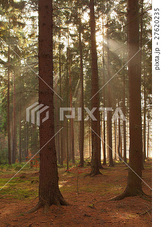 The solar beams which are making the way through f 27620235