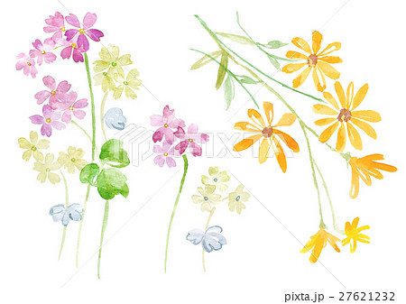 水彩花のイラスト素材 27621232 Pixta