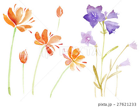 水彩花のイラスト素材 27621233 Pixta