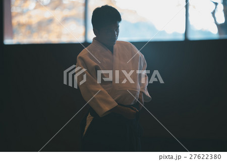 martial artist martial artist 27622380