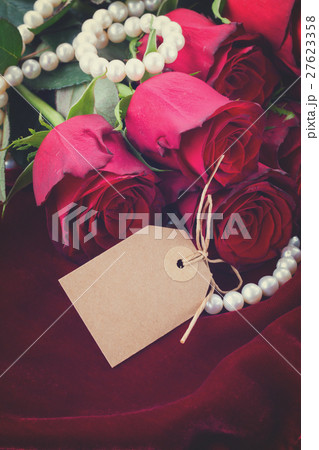 red roses on velvet 27623358