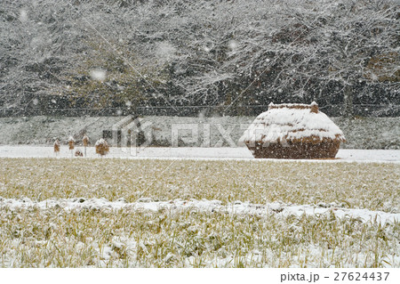見沼田圃:降雪の加田屋新田 フナノ 見沼田圃:降雪の加田屋新田 フナノ 27624437