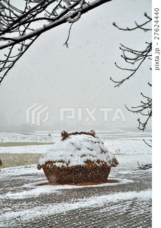 見沼田圃：降雪の加田屋新田　フナノ 27624440