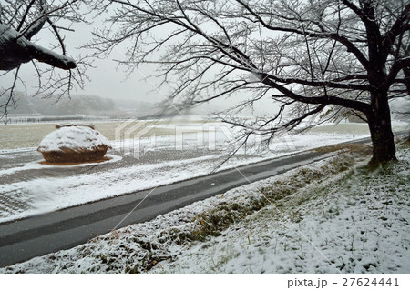 見沼田圃:降雪の加田屋新田 フナノ 見沼田圃:降雪の加田屋新田 フナノ 27624441