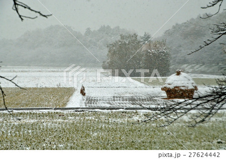 見沼田圃:降雪の加田屋新田 フナノ 見沼田圃:降雪の加田屋新田 フナノ 27624442