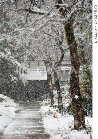 見沼田圃:降雪の民家 見沼田圃:降雪の民家 27624975