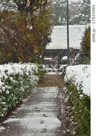 見沼田圃：降雪の深井家長屋門 27624983