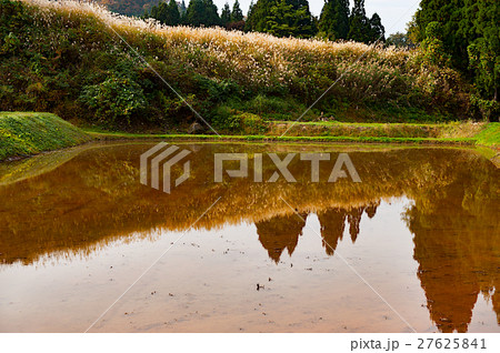 秋の国道405号線　上越市の棚田 27625841