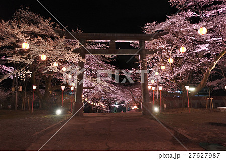 夜桜ライトアップ 鬼怒川温泉神社 の写真素材