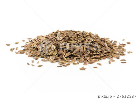 ディルシード: Dill seed 27632537