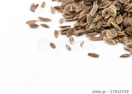 ディルシード: Dill seed 27632539