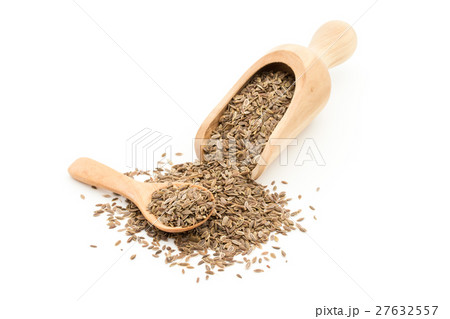 ディルシード: Dill seed 27632557