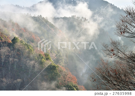吉野山の荘厳な朝靄 27635998