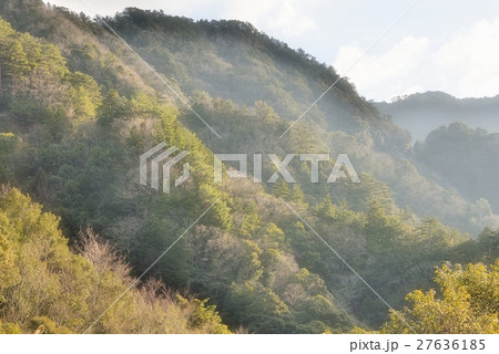 朝靄の玉置山 27636185