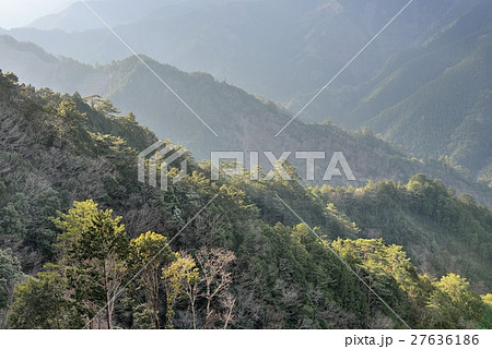 神の宿る玉置山の光芒 27636186
