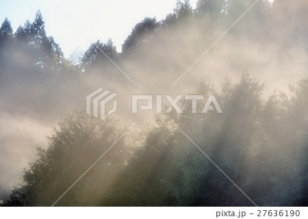 厳冬の光芒 厳冬の光芒 27636190