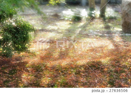 希望を思わせる光 27636506