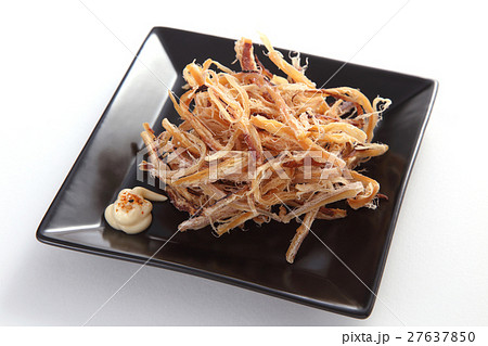 スルメイカ スルメイカ 27637850