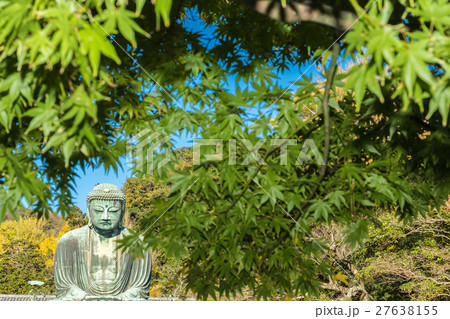 鎌倉大仏　もみじ 27638155