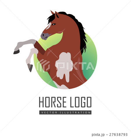 Rearing Pinto Horse Illustration in Flat Design 27638793