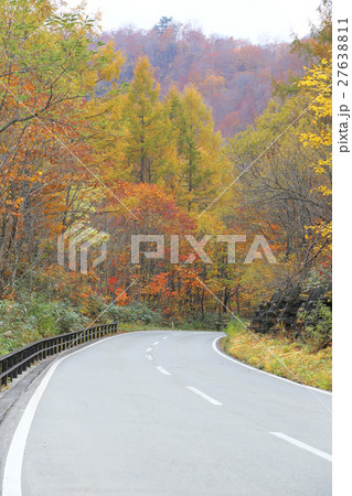 紅葉と道路 紅葉と道路 27638811