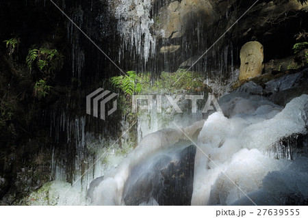氷瀑 桃尾の滝 氷瀑 桃尾の滝 27639555