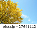 紅葉 27641112