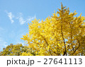 紅葉 27641113