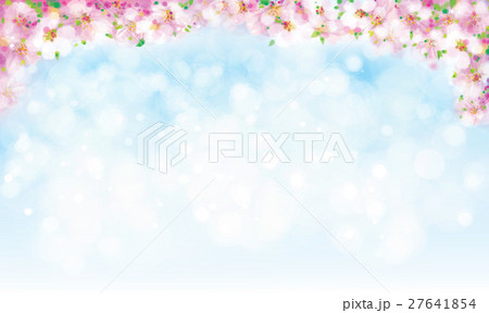 Vector blossoming sakura on sky  background. 27641854