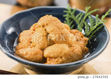 雲丹料理 27642505