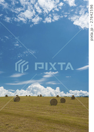 牧草ロール 27642596