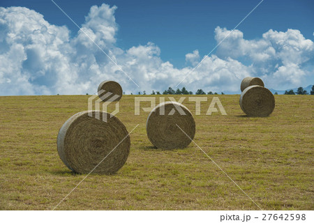 牧草ロール 27642598