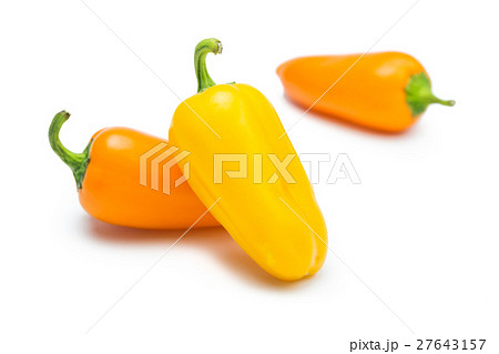 ミニパプリカの写真素材
