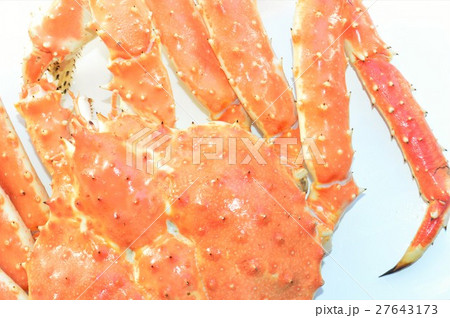 タラバガニのアップ　白バック 27643173