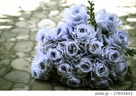 bouquet of blue rose lying on grey road bouquet of blue rose lying on grey road 27643843