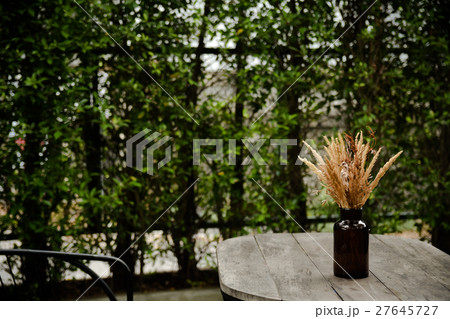 purple caspia flowers in vase or caspia flower 27645727