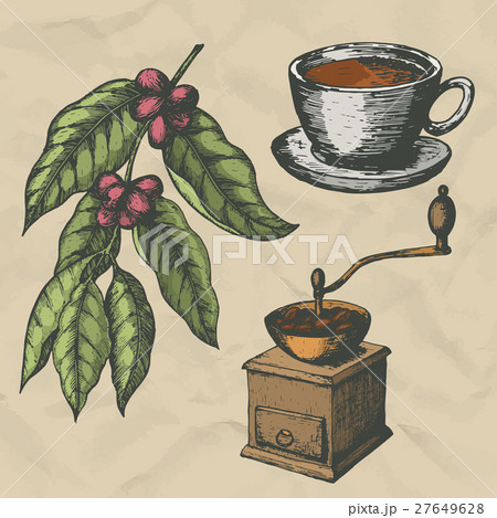 A branch of coffee, vintage coffee grinder and a 27649628