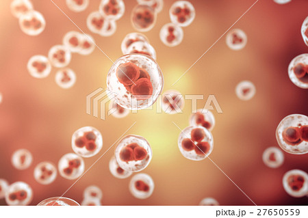 Red cell background. Life and biology, medicine Red cell background. Life and biology, medicine 27650559