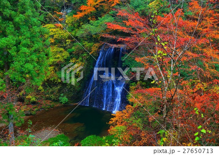 【千葉県】四方木不動滝の紅葉 27650713