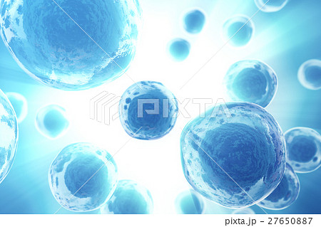 Human or animal cells on blue background. Medicine Human or animal cells on blue background. Medicine 27650887