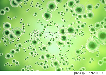 Green cell background. Life and biology, medicine - Stock Illustration  [27650994] - PIXTA
